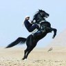 Profilbild von الفارس