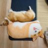 Фото профиля ヒマヒマひまわり(とーくん)