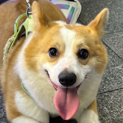 rui88515's profile picture