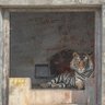 Фото профиля Avg _Suresh