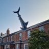 The Headington Shark 的头像
