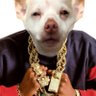 Profilbild von Los