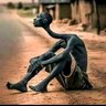 Ola bread profil fotoğrafı