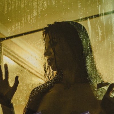 тао's profile picture