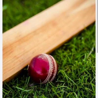 Allrounder's profile picture