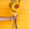 Profilbild von Sun Flower