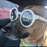 Richie profil fotoğrafı