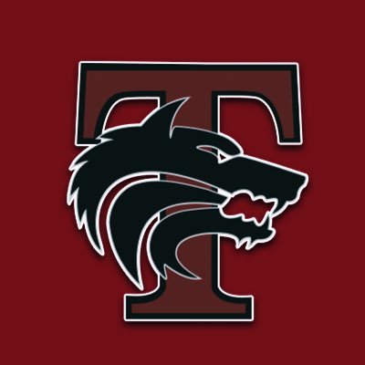 TViewWolves's profile picture