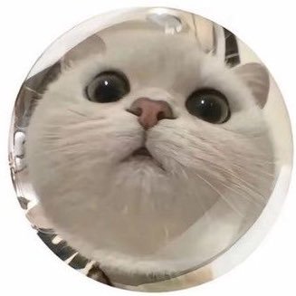 lee_haeun3's profile picture