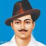 ABHI RAJPUT profil fotoğrafı