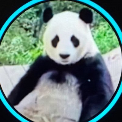 パンダ's profile picture