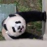 Ruini2's profile picture