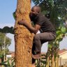 MALE MABIRIZI Ug &East Africa RULE OF LAW CHAMPION's profile picture