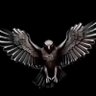 falconistanbul's profile picture