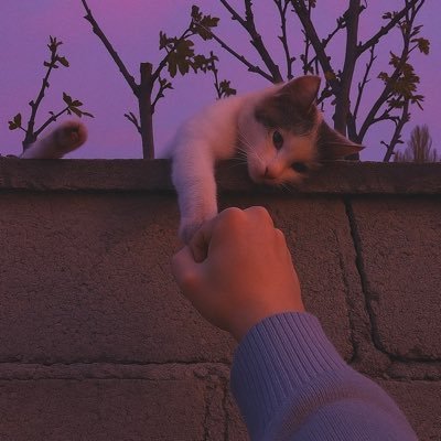 Nymphlicious259's profile picture