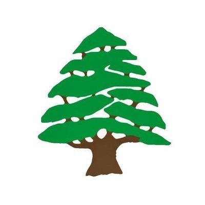 Lebanon News & OSINT's profile picture