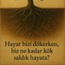 OsmanAtmalar profil fotoğrafı