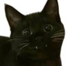 ateng haybiii 🐈⬛🐈 profil fotoğrafı