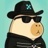 Vav Crypto 🌊's profile picture