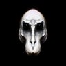 Nikola Stanchev's profile picture