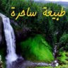 بريدة's profile picture