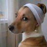 pelumi's profile picture