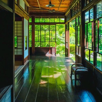 AmyMoose2467's profile picture