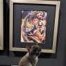 Фото профиля 🌈🐕茶子🐈(兼取引垢)