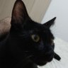 Fran's profile picture