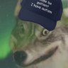 der lebensfroheste's profile picture