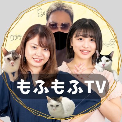 MOFUMOFU TV（もふもふテレビ）【公式アカウント】's profile picture