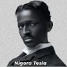 NiggoraTesla Neo-SingaPoorean's profile picture