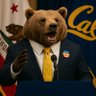 Make Cal Great Again's profile picture