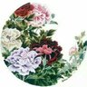 Wxwh's profile picture
