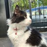 o şahıs profil fotoğrafı