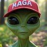 Pol's profile picture