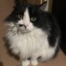 Dmry profil fotoğrafı