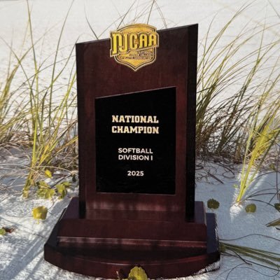Nic Nelson's profile picture