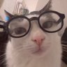 Profilbild von Feli Lagunes