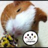 モルじじパン 的头像