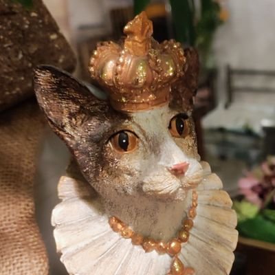 SATSATSATSATN's profile picture