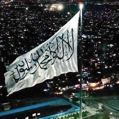 Helal_Af313's profile picture