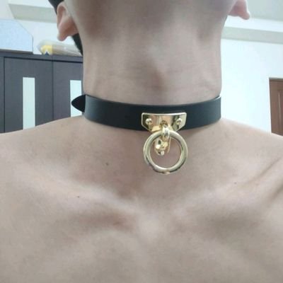 home_dog111's profile picture