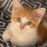 Profilbild von Jacine0520