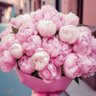 Celia_🇫🇷🇮🇱🇲🇦🇮🇷🇺🇦's profile picture