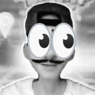 land_in_the's profile picture