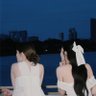เป็ดก๊าบก๊าบ 🐥's profile picture