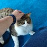 addas profil fotoğrafı
