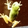 ぽんこつ底辺's profile picture
