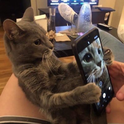 phk's profile picture